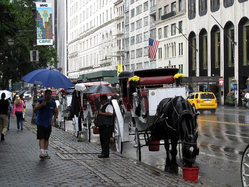 NY (146).JPG